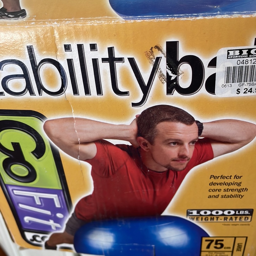 Stability ball- GoFit- bought for $25 NEW home workout (yoga, stretching, core)